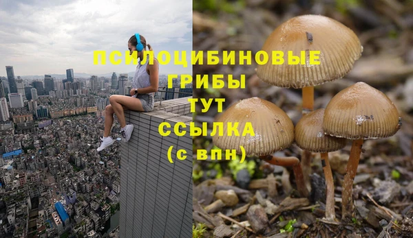 скорость Гусев