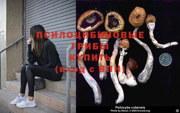 бошки Гусиноозёрск