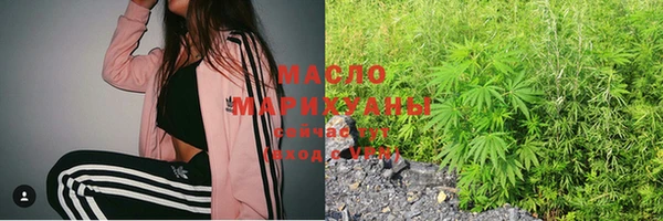 скорость Гусев