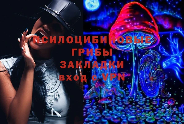 бошки Гусиноозёрск